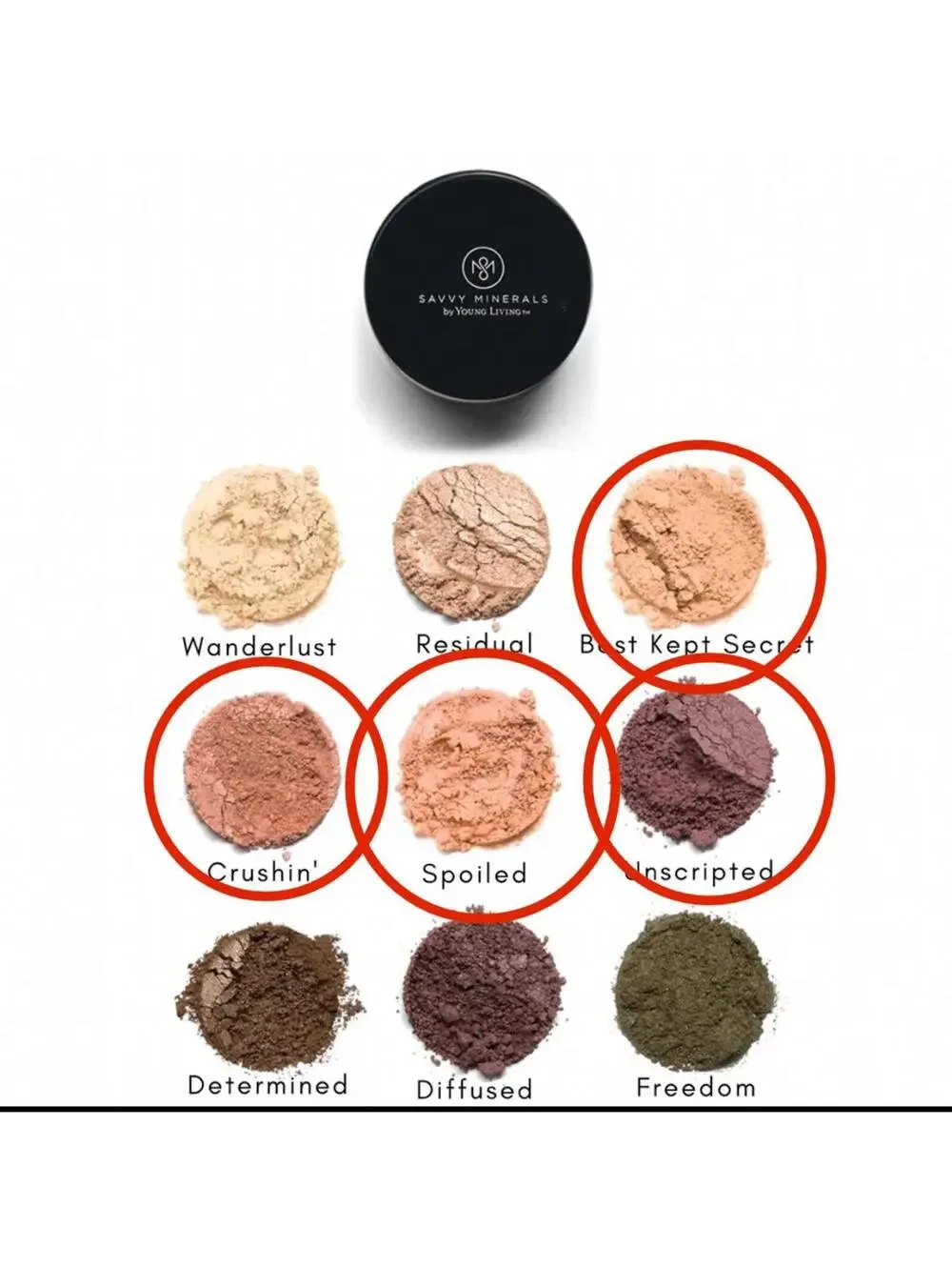 New Young Living Savvy Minerals Eyeshadow & Multitasker Color Pack of 6